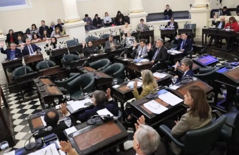 VIDEO | Corrientes aprueba media sanción a ley para prevenir muertes súbitas