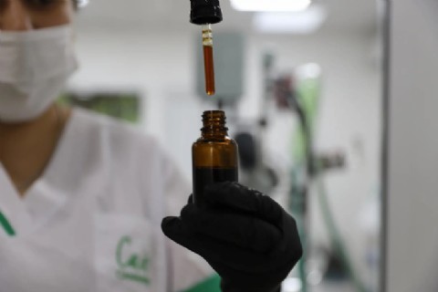 Corrientes impulsa la Jornada de Actualización en Cannabis Medicinal
