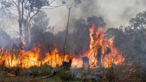 El Gobierno provincial prepara una ley de bomberos para garantizar la prevención en materia de incendios rurales