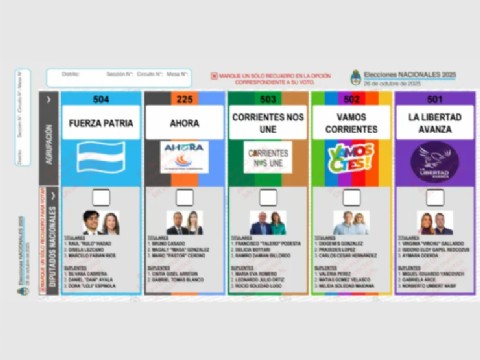 Cómo será la boleta única de papel con la que se votará a diputados nacionales en la Provincia