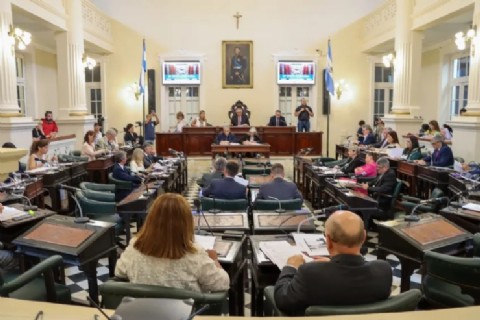 Diputados sancionó proyecto que declara al 2024 como año del 30 Aniversario de la Reforma de la Constitución Argentina