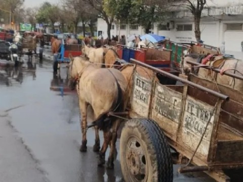 Movilización de carreros con un fuerte enfrentamiento con la policía: hubo heridos y detenidos