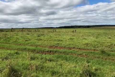 Vecinos de paraje El Ceibo denuncian cuatrerismo en Curuzú Cuatiá