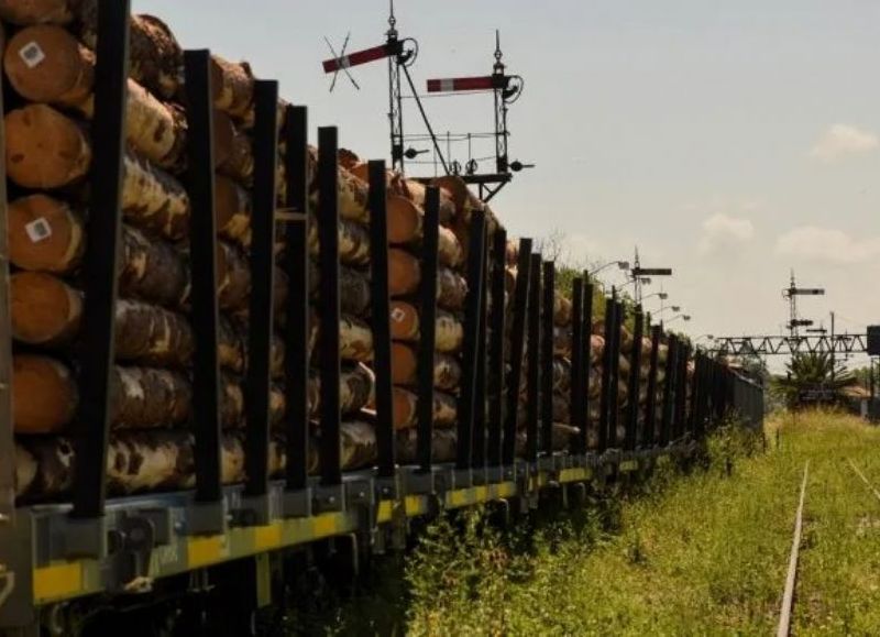 La provincia entre los distritos con récord de transporte ferroviario de carga en junio