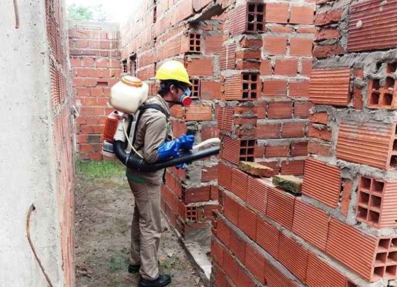 Salud intensifica acciones epidemiológicas por enfermedades vectoriales