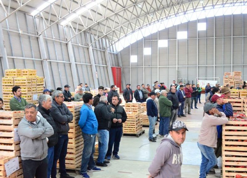 Bella Vista: exitoso remate hortícola con ventas que superaron los 7 millones de pesos