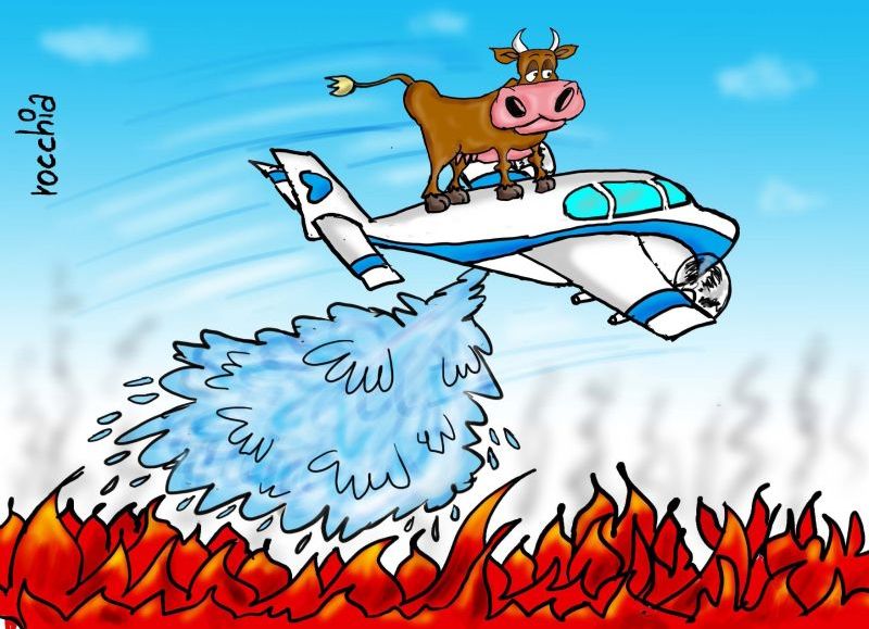 Una emergencia agropecuaria que ya es "catástrofe" urge atención federal en la Provincia