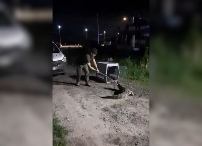 VIDEO | Rescataron a un yacaré que apareció en la Capital de la provincia
