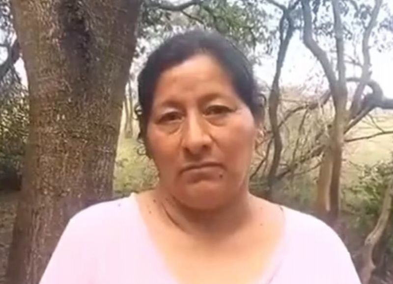 Fiscal federal solicitó la detención de Laudelina Peña, pero la jueza rechazó la medida