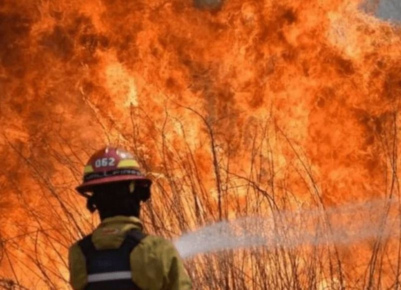 Sigue el incendio en la Provincia: la lluvia, trajo un poco de alivio