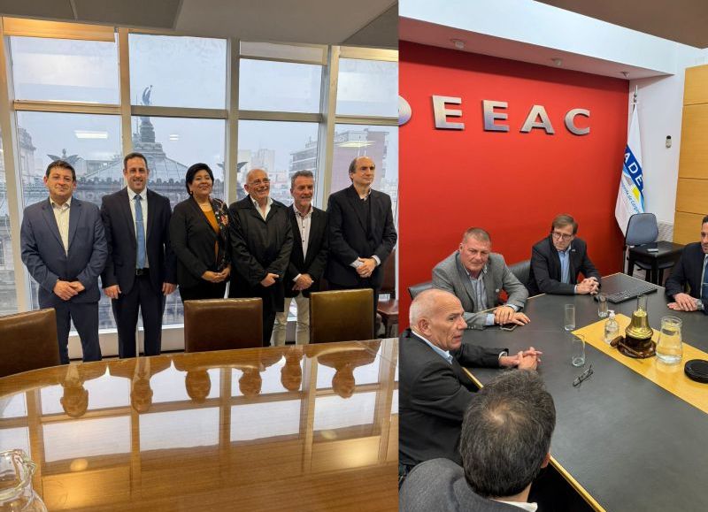 La Provincia propuso al país mejorar controles técnicos vehiculares y de alcoholemia