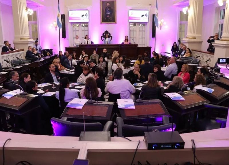 Médicos, pacientes, ONGs y diputados provinciales unidos contra el Cáncer de Mama