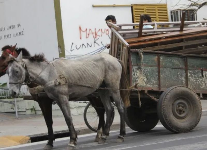 Corrientes es la segunda provincia en el ranking de pobreza con el 36 por ciento en el noreste argentino