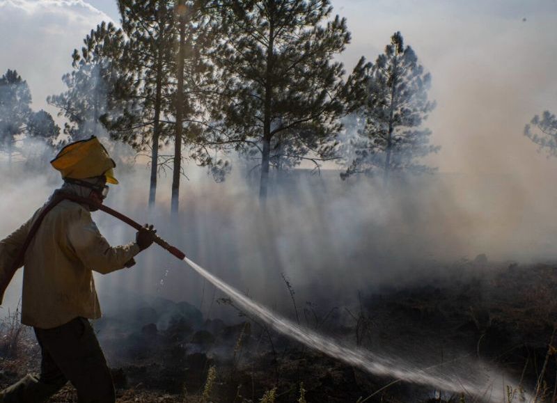 ¡Agua bendita! Debido a las precipitaciones, los focos de incendio se redujeron un 30 por ciento