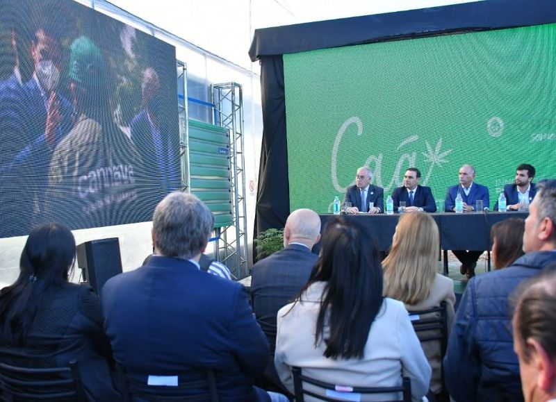 Valdés presentó el primer aceite medicinal de cannabis producido en la provincia