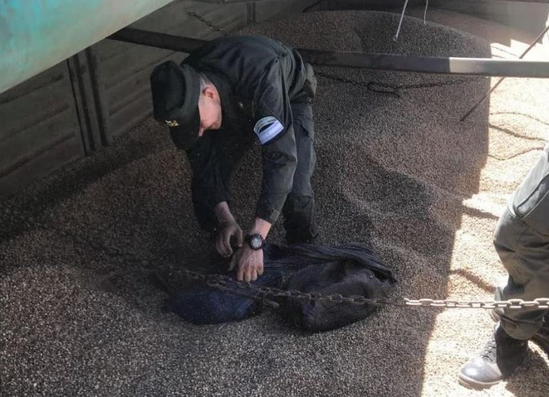 Incautaron en Salta un cargamento de cocaína que iba a Bella Vista