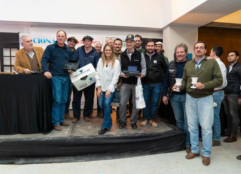 Los grandes campeones de la raza Braford son de cabañas correntinas