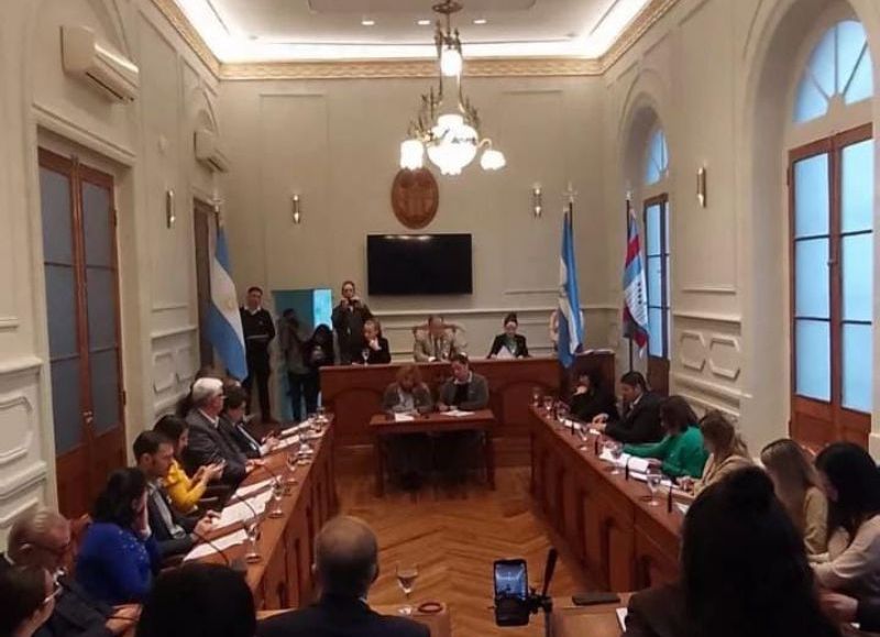 Ediles opositores pidieron informes a la comuna sobre el servicio de transporte urbano en la ciudad