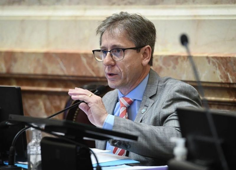 Repercusiones dentro del radicalismo ante la auto postulación de Vischi